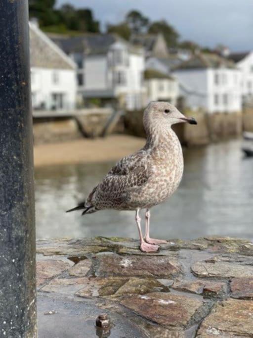 Marners Rock No 2 Apartment Fowey Luaran gambar